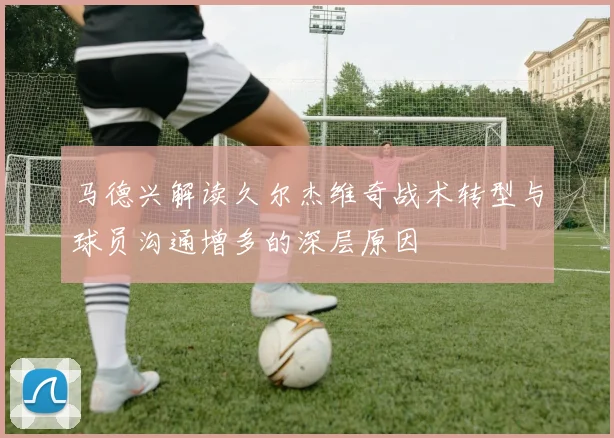 马德兴解读久尔杰维奇战术转型与球员沟通增多的深层原因